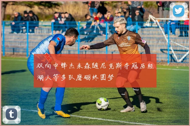 双向中锋杰米森随尼克斯夺冠历经湖人等多队磨砺终圆梦