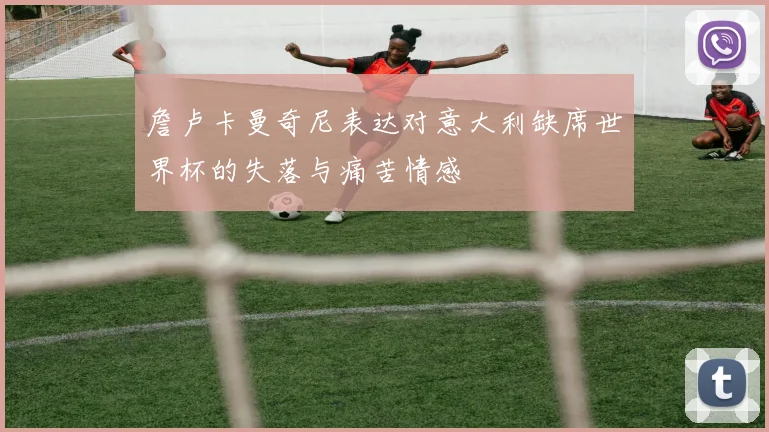 詹卢卡曼奇尼表达对意大利缺席世界杯的失落与痛苦情感